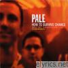 Pale - How to Survive Chance