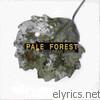 Pale Forest - Transformation Hymns
