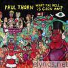 Paul Thorn - What the Hell Is Goin' On?