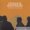 Pernice Brothers - Overcome by Happiness