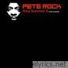 Pete Rock - Soul Survivor II - Instrumental