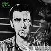 Peter Gabriel - Ein deutsches Album