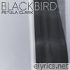 Blackbird - Single
