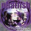 Phatfish - Purple Through the Fishtank