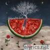 Watermelon Seeds - Single