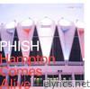 Phish - Hampton Comes Alive (Live)