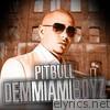 Pitbull - Dem Miami Boyz - EP