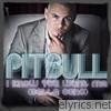 Pitbull - I Know You Want Me (Calle Ocho) - EP