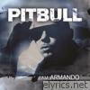 Pitbull - I Am Armando - Armando Reloaded