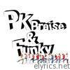 PK Praise & Funky (Instrumental) - Album