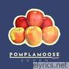 Pomplamoose - Seven - Single