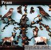 Pram - Museum of Imaginary Animals