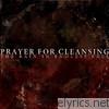 Prayer For Cleansing - The Rain In Endless Fall