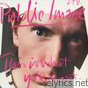 Public Image Ltd. - This is What You Want ... This Is What You Get