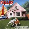Pulley - Together Again for the First Time