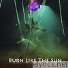 Purplehed - Burn Like the Sun - Single