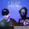 Can You Feel Me 2 (feat. Jaya) - Single