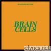 Brain Cells - Single
