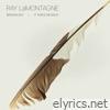 Ray Lamontagne - Broken Sky / It Takes Me Back - Single