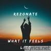 What It Feels Like (Radio Edit) - Single