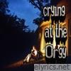 crying at the Orgy - Single