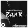 R.LUM.R (OurVinyl Sessions) - EP