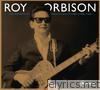 Roy Orbison - The Monument Singles Collection