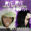Rye Rye - Never Will Be Mine (The Remixes) [feat. Robyn]