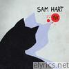 Sam Hart - Ink - EP