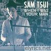 Sam Tsui - When I Was Your Man - Single