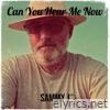 Can You Hear Me Now - Single