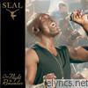 Seal - One Night to Remember (Live)