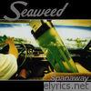 Seaweed - Spanaway