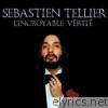 Sebastien Tellier - L'incroyable vérité