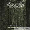 Sea of Trees - Single