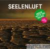 Seelenluft - Horse With No Name (feat. Florian Horwath) - EP