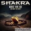 What You See (And What You Don't) - Single