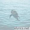 Dolphin Splash It When I Whip It - Single