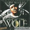 Sheek Louch - Year of the Wolf