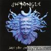 Shpongle - Are You Shpongled?