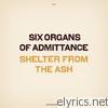 Six Organs Of Admittance - Shelter from the Ash