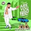 Are You Vhere? - Single