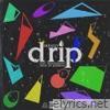 Drip (Single) [feat. Troopnastyy]