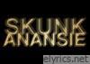 Skunk Anansie - Smashes and Trashes - the Best of the Remixes