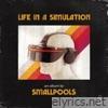 LIFE IN A SIMULATION
