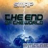 The End of the World - Single