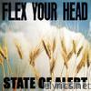 S.o.a. - Flex Your Head