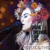 Drivin' & Dreaming Live