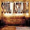 Soul Asylum - Black Gold: The Best of Soul Asylum