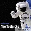 Spotnicks - A World of Spotnicks